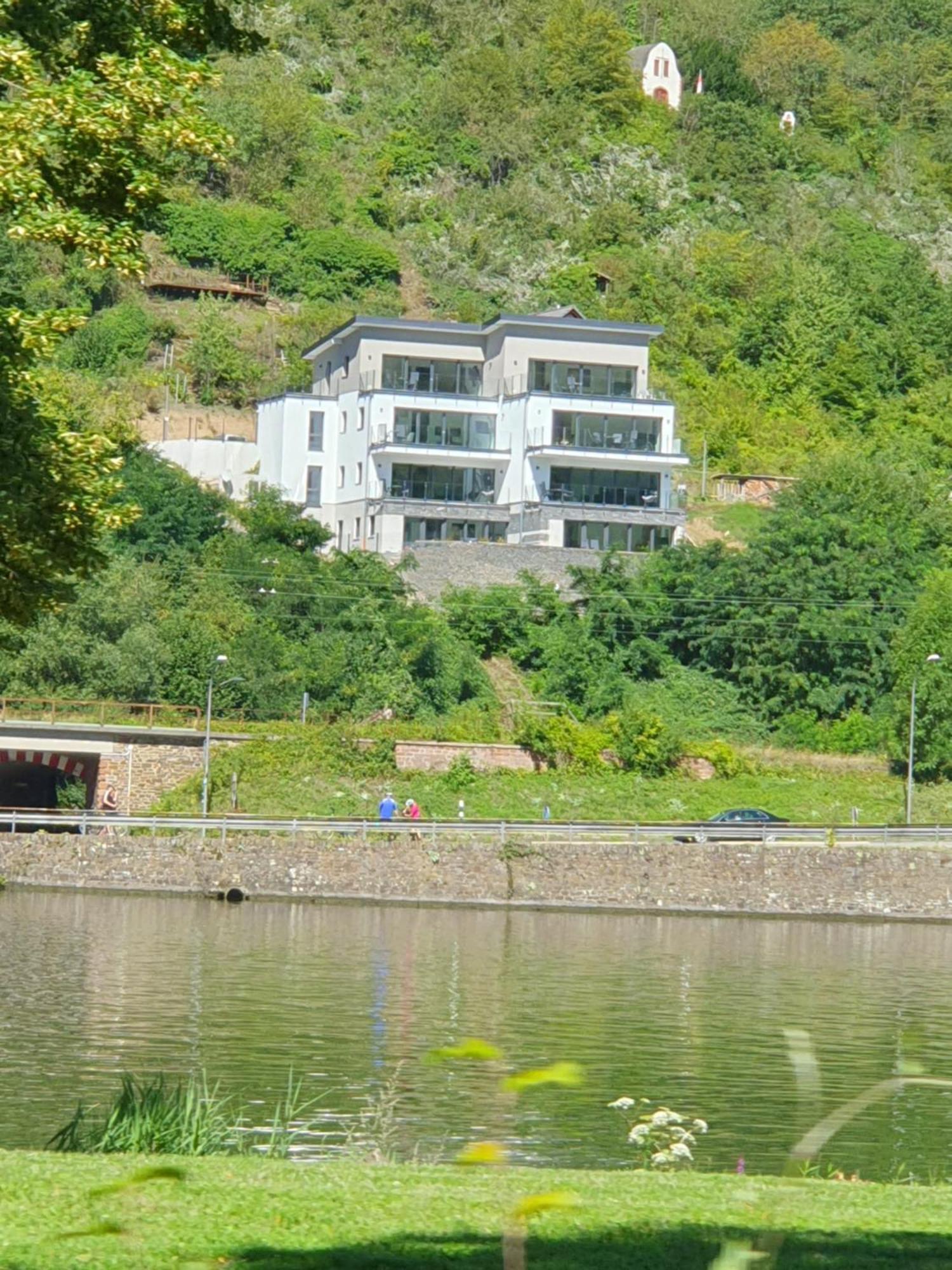 Mv Roemervilla, Lofts & Penthouses Mit Traumhaftem Moselpanoramablick Und Sauna Treis-Karden Esterno foto